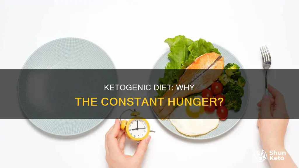 why am i always hungry on the ketogenic diet