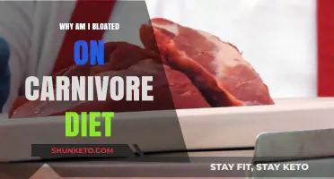 Carnivore Diet: Why Am I Feeling Bloated?