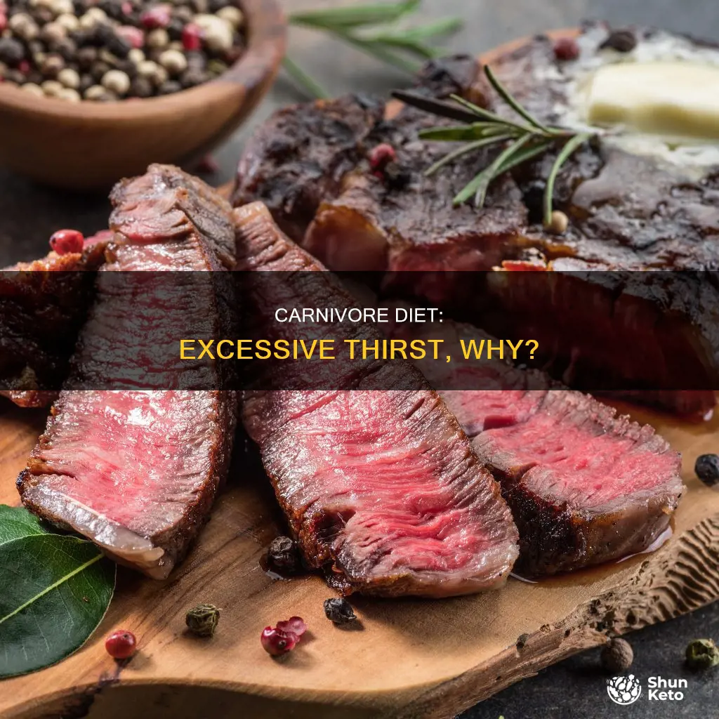 why am i excessively thirsty on carnivore diet