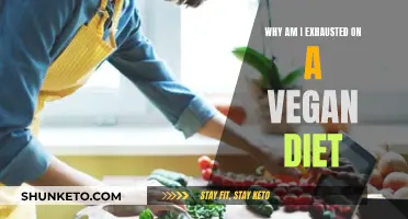 Vegan Diet: Why Am I Always Feeling Exhausted?