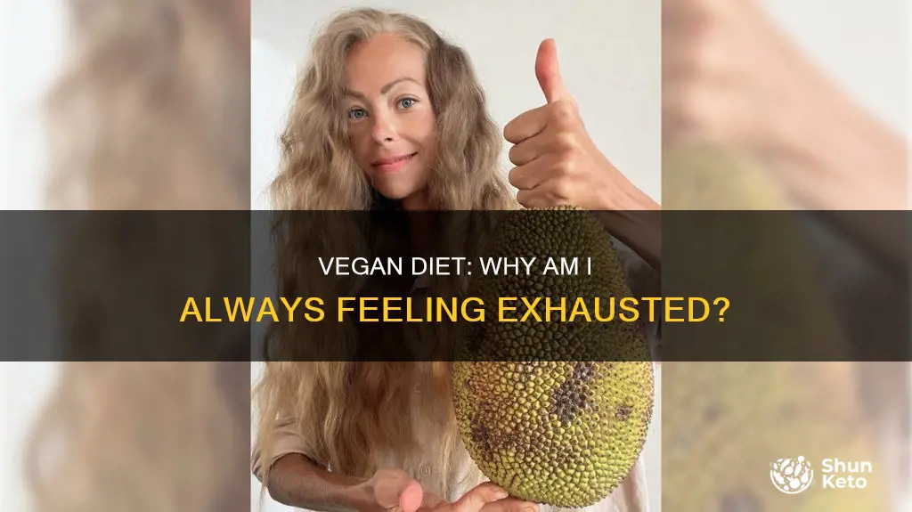 why am i exhausted on a vegan diet