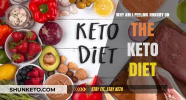 Hungry on Keto? Understanding Cravings and Staying Full on a Low-Carb Diet