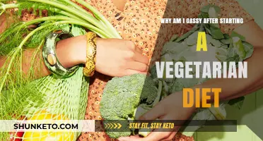 Vegetarian Diet: Excess Gas and How to Deal With It