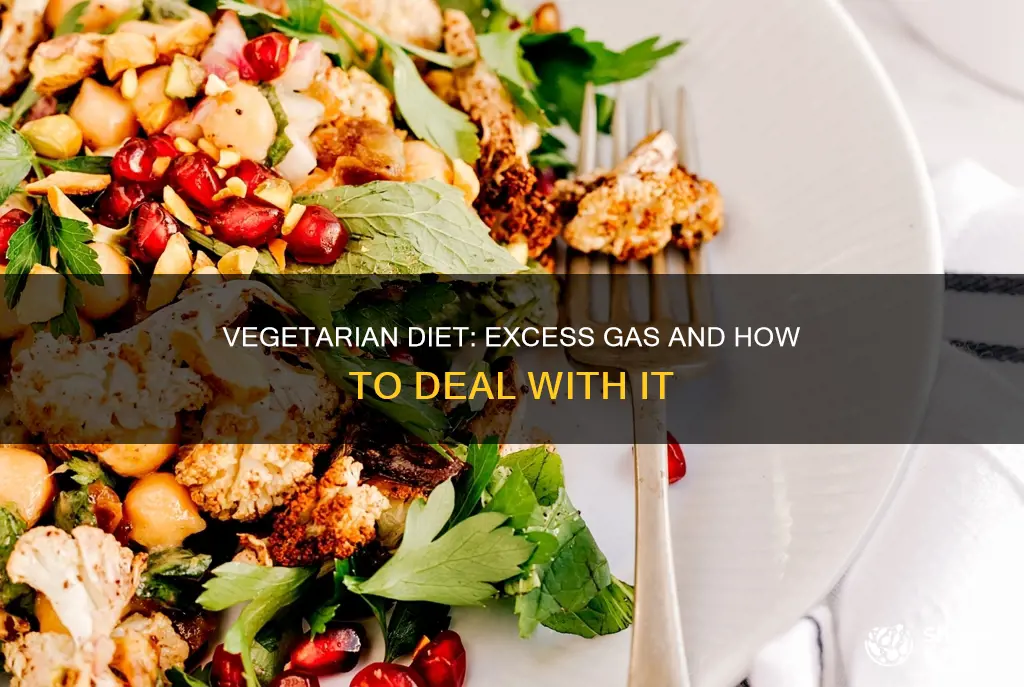 why am i gassy after starting a vegetarian diet