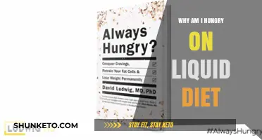 Liquid Diets: Why the Hunger Pangs?