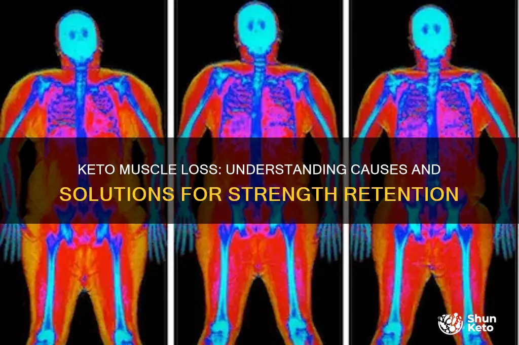 why am i losing muscle on a keto diet