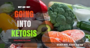 Why Am I Not Going Into Ketosis? Common Mistakes and Solutions