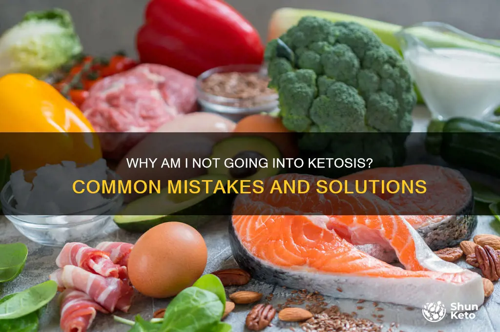 why am i not going into ketosis