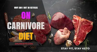 Carnivore Diet: Not in Ketosis? Here's Why
