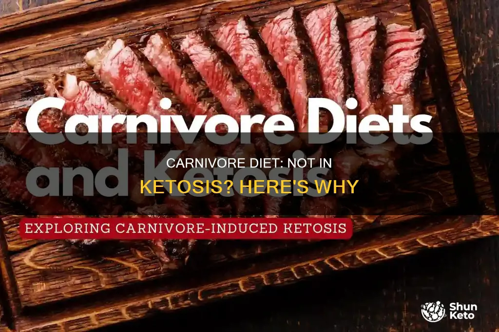 why am i not in ketosis on carnivore diet