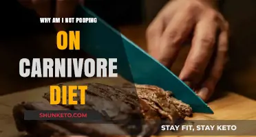 Carnivore Diet Constipation: What's the Deal?