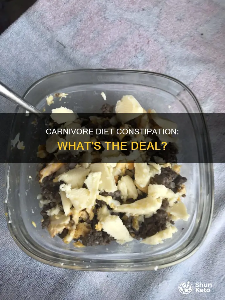 why am i not pooping on carnivore diet