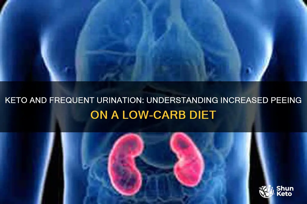 why am i peeing a lot on keto diet