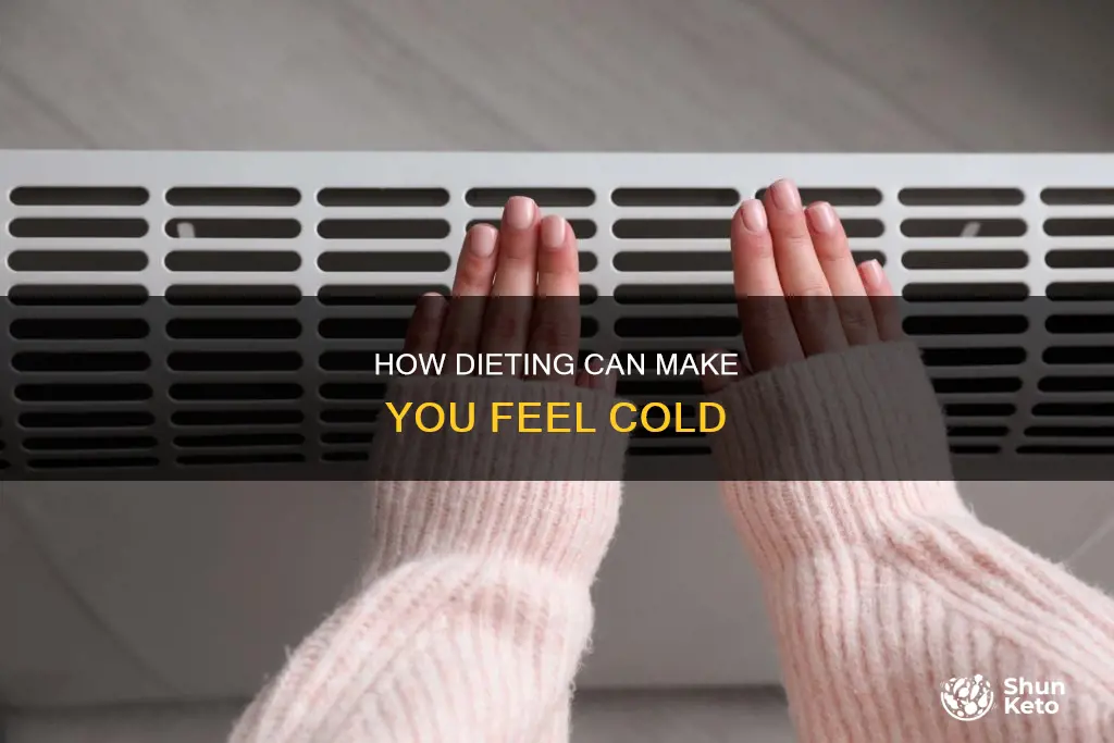 why am i so cold when i start dieting