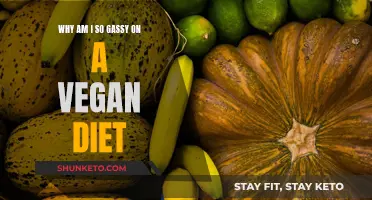 Vegan Diet and Gas: What's the Deal?