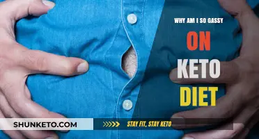 Keto Gas Explained: Understanding Increased Flatulence on a Low-Carb Diet