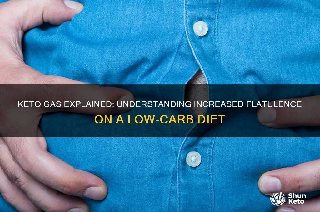 why am i so gassy on keto diet