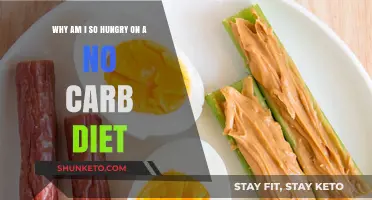No-Carb Diet: Why the Constant Hunger?