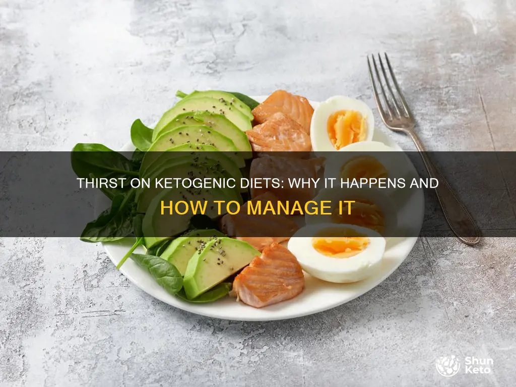why am i so thirsty on ketogenic diet