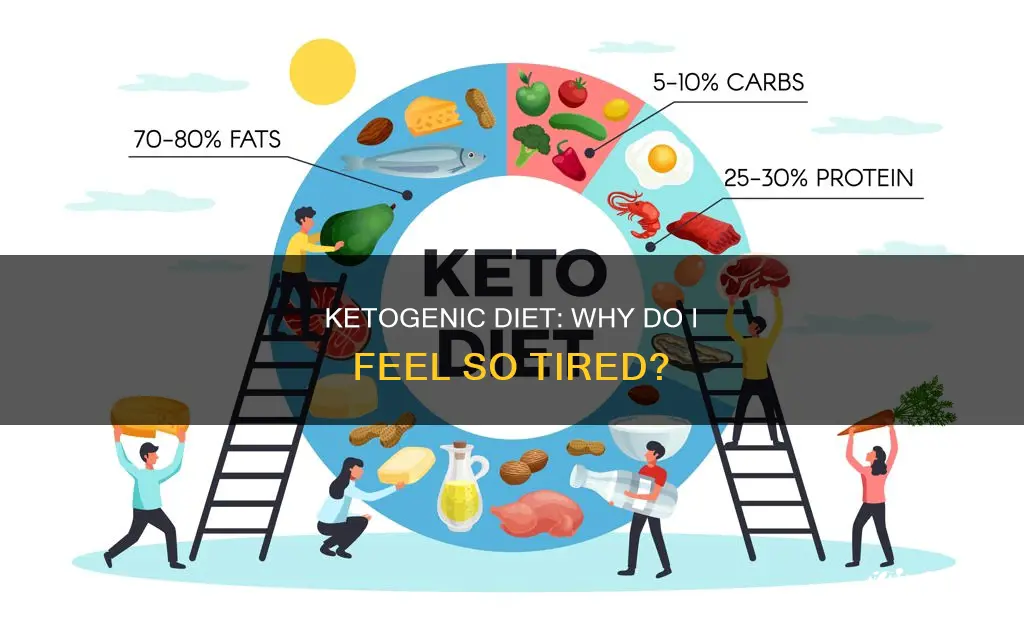 why am i so tired on a ketogenic diet