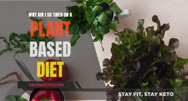 Plant-Based Diet: Why Am I Always Feeling Tired?