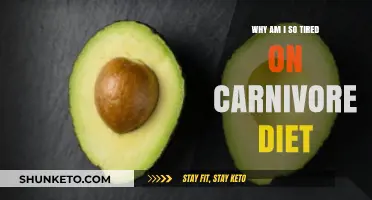 Carnivore Diet: Why Am I Always Feeling Tired?