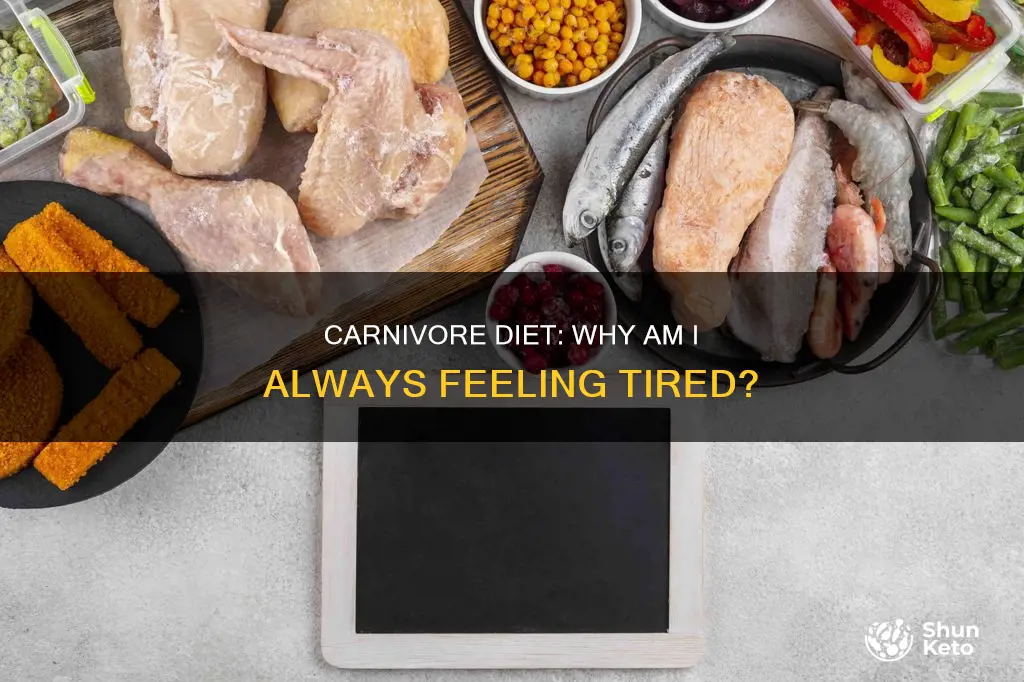 why am i so tired on carnivore diet