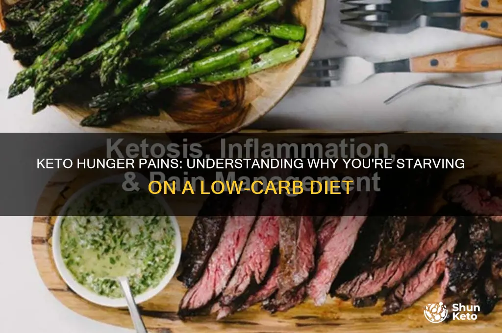 why am i starving on keto diet