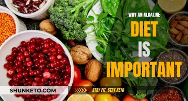 Alkaline Diet: The Key to a Healthy Body