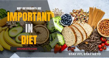 Antioxidants: Diet's Defense Against Free Radicals