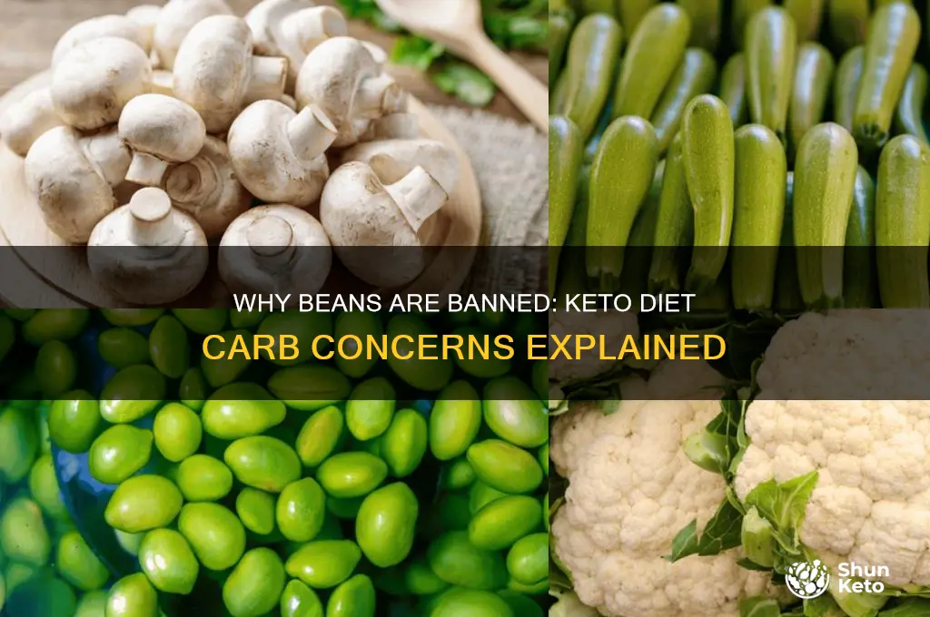 why are beans not allowed on keto diet