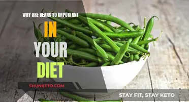 Beans: Nutritional Powerhouses for a Healthy Diet