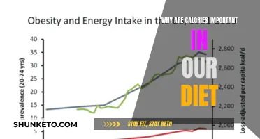 Calories: Energy Essentials for a Balanced Diet