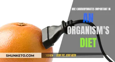 Carbohydrates: Fueling Organism Function and Performance