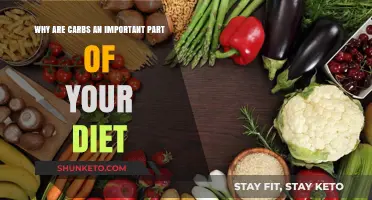 Carbs: Essential Fuel for Your Body and Brain