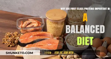 First-Class Proteins: Essential for a Balanced Diet