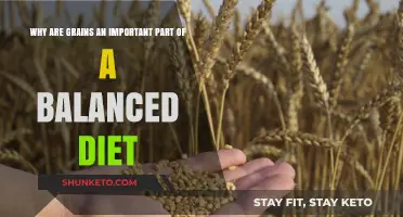 Grains: Essential Nutrition for a Balanced Diet