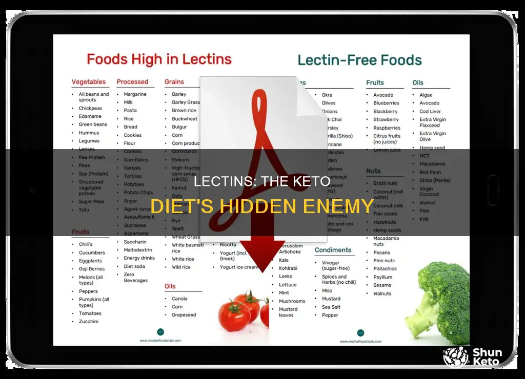 why are lectins bad for keto