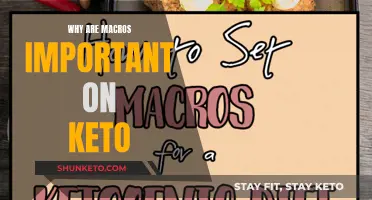 Macros and Keto: The Importance of Understanding Macronutrients