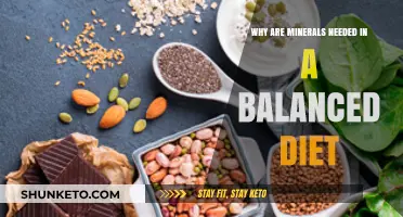 Minerals: Essential for a Balanced Diet and Healthy Body