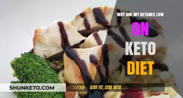 Low Ketone Levels on Keto: Understanding Causes and Solutions