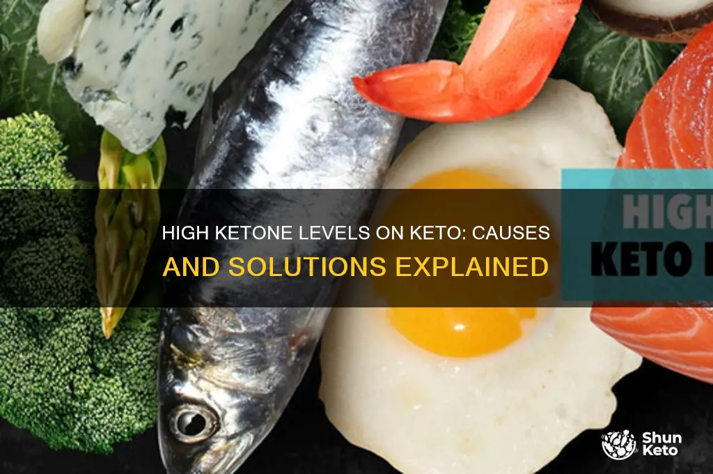 why are my ketones so high on keto diet