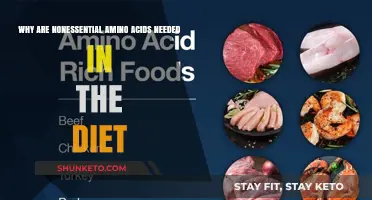 Amino Acids: Why Are Nonessential Ones Dietary Essentials?