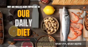 Nucleic Acids: Essential Dietary Components for Healthy Living