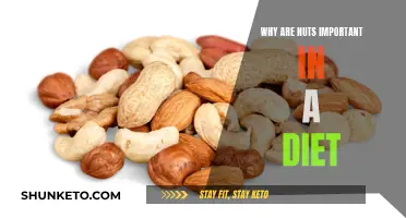 Nutrition Powerhouses: Nuts Boost Your Diet and Health