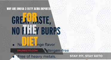 Omega-3 Fatty Acids: Essential Dietary Superheroes