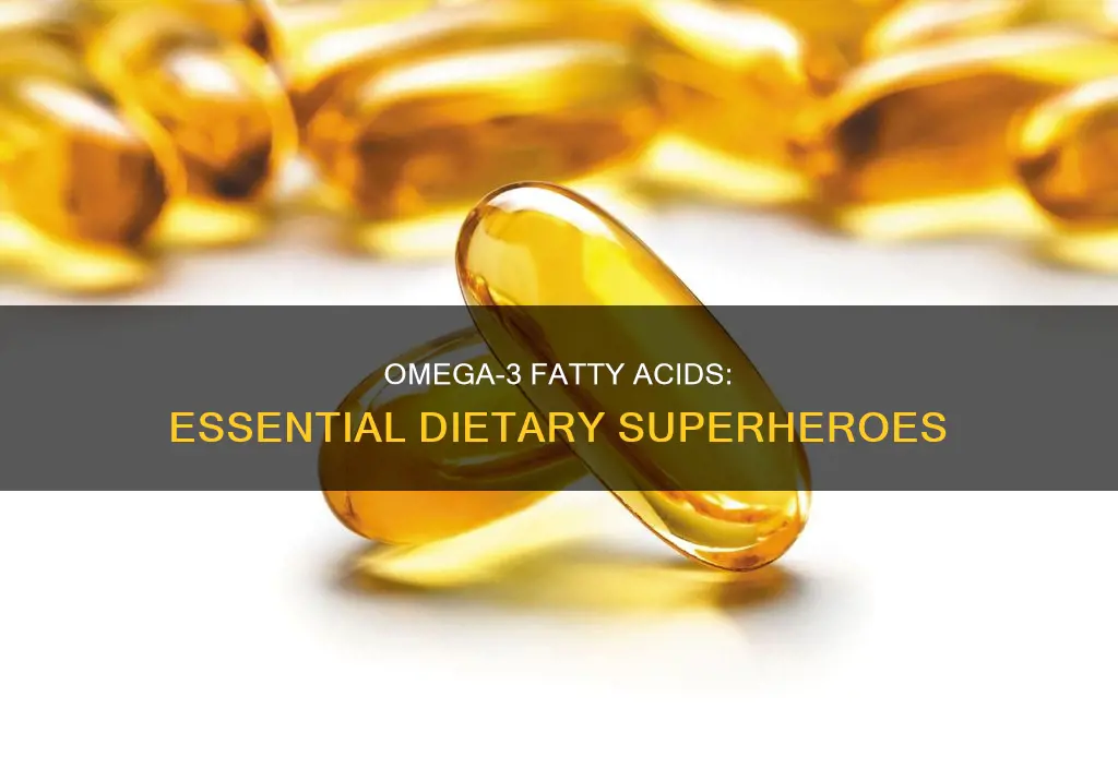 why are omega 3 fatty acids important for the diet