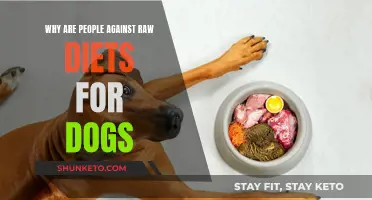 Raw Dog Food Diets: Why the Controversy?