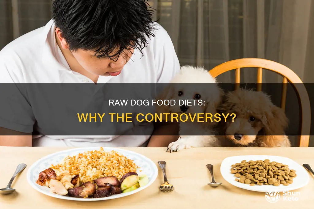 why are people against raw diets for dogs