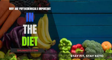 Phytochemicals: Diet's Superheroes Against Diseases